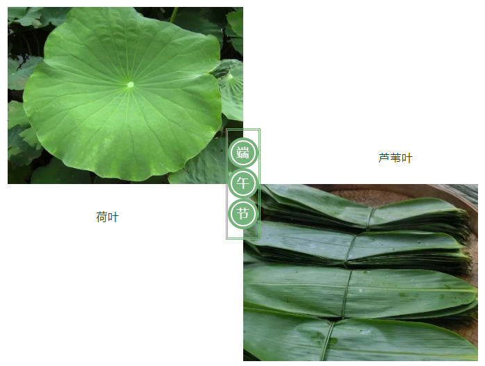 世界杯官网线上平台医纺