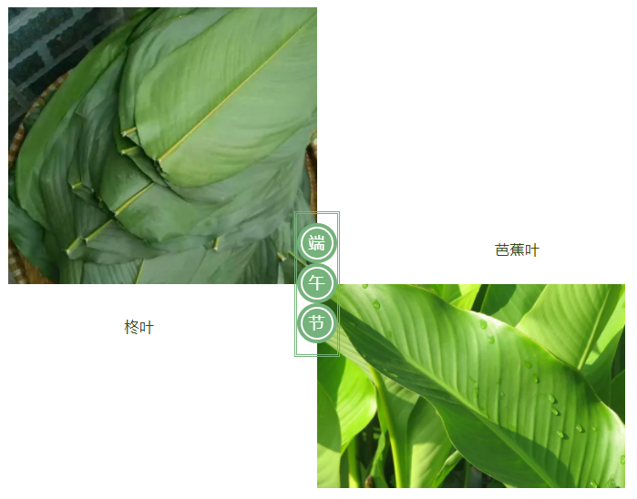 世界杯官网线上平台医纺