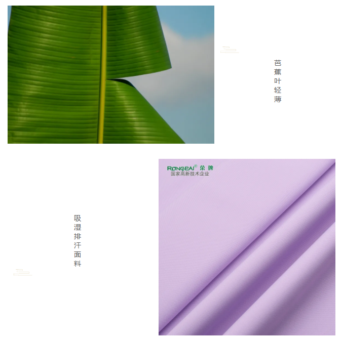 世界杯官网线上平台医纺