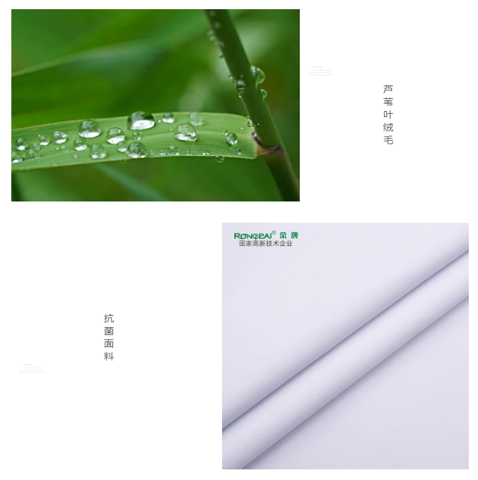 世界杯官网线上平台医纺