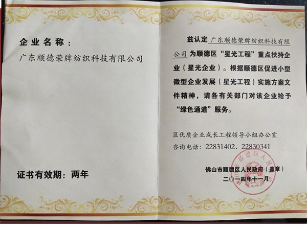 世界杯官网线上平台荣获政府重点扶持企业